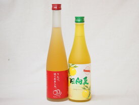 【最大2000円オフクーポン11日1:59迄】セール!フルーツなお酒福袋セット（日向夏リキュール、りんごはじめましたりんご梅酒）500ml×2本
