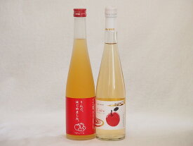 国産りんご酒2本セット(青森弘前市産シードル りんごはじめましたりんご梅酒) 500ml×2本