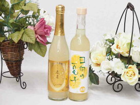 爽やかリキュール2本セット(宮崎産日向夏みかん使用 日向夏リキュール なしのスパークリングリキュール 梨園) 500ml×2本