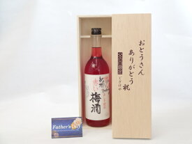 父の日 ギフトセット 梅酒セット おとうさんありがとう木箱セット( 中野BC 紀州紫蘇梅酒 「赤い梅酒」 720ml(和歌山県)) 父の日カード 付