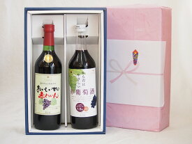 春の贈り物ギフト感謝贈り物ボックス 赤ワイン2本セット(からだにやさしい赤葡萄赤ワイン720ml おいしい甘口 赤ワイン720ml)