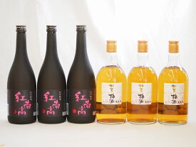 梅酒6本セット(加賀梅酒(石川県) 紅南高梅酒20度(和歌山)) 720ml×6本