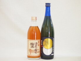 梅酒2本セット(八鹿の酒蔵で造った梅酒(大分) 無添加上等梅酒(鹿児島)) 500ml×1本 720ml×1本