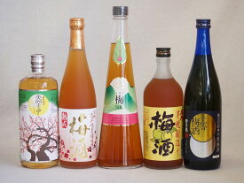 カラフル梅酒5本セット(芋焼酎仕込五代梅酒(鹿児島) 高千穂産梅使用熟成梅酒 手作り梅酒(宮崎県) 樽熟梅酒天空の月(大分) 無添加上等梅酒(鹿児島)) 720ml×5本
