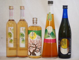 楽天市場 梅酒 手作り セット 梅酒 日本酒 焼酎 の通販