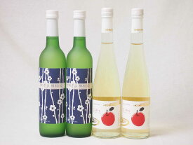 国産フルーツ甘口ワイン4本セット 京都青谷梅 丹波りんごワイン (京都府) 500ml×4本