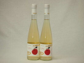 2本セット国産フルーツりんごワイン Cider 青森弘前産りんご使用 やや甘口 丹波ワイン (京都府) 500ml×2本