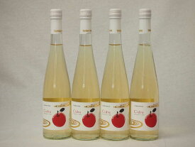 4本セット国産フルーツりんごワイン Cider 青森弘前産りんご使用 やや甘口 丹波ワイン (京都府) 500ml×4本