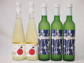 京都丹波フルーツワイン5本セット京都青谷梅わいん3本　Cider 青森弘前産りんご使用2本 計500ml×2本