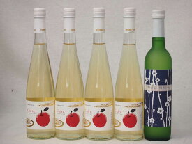 京都丹波フルーツワイン5本セット京都青谷梅わいん1本　Cider 青森弘前産りんご使用4本 計500ml×5本