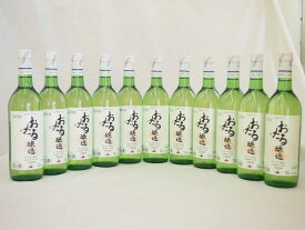 日本ワイン おたる醸造 ナイアガラ 日本産葡萄100% 白 やや甘口 (北海道)720ml×11本