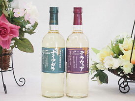 国産葡萄100％使用甲州甘口 辛口セット 日本ワイン 720ml×2本 盛田甲州ワイナリー(山梨県、長野県)