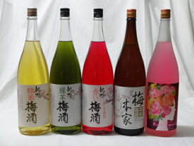 こんな梅酒福袋が欲しかったぁ　飲み比べ5本セット（中野BC 赤い梅酒 緑茶梅酒 蜂蜜梅酒 中埜酒造 おばあちゃんの梅酒 中埜酒造 ローズ梅酒 ) 1800ml×5本