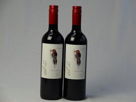 2本セット フルボディ赤ワイン デルスール カベルネ ソーヴィニヨン(チリ) 750ml×2本