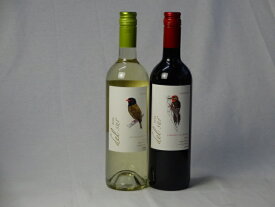 チリ白赤ワイン2本セット デル・スール カベルネ・ソーヴィニヨン フルボディ1本 デルスール ソーヴィニヨン ブラン 辛口1本 750ml×2本