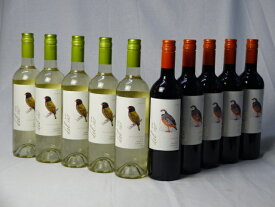 チリ白赤ワイン10本セット デル・スール カルメネール ミディアムボディ5本 デルスール ソーヴィニヨン ブラン 辛口5本 750ml×10本