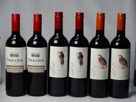 チリ赤ワイン6本セット デル・スール カベルネ・ソーヴィニヨン フルボディ2本 デル・スールカルメネール 2本 テラスル ミディアムボディ2本 750ml×6本