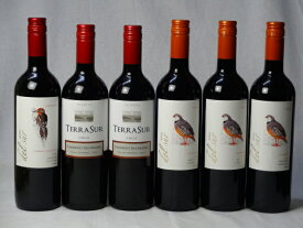 チリ赤ワイン6本セット デル・スール カベルネ・ソーヴィニヨン フルボディ1本 デル・スールカルメネール 3本 テラスル ミディアムボディ2本 750ml×6本