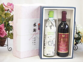 【最大2000円オフクーポン17日1:59迄】春の贈り物便り 感謝の贈り物ボックス イタリアソアーヴェ白ワインと国産ワインセット(樽熟成穂坂マスカットベーリーA赤ワイン ミディアム(山梨県)750mlフォレスタ ナティヴァ ソアーヴェ (イタリア) 750ml