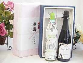 【最大2000円オフクーポン11日1:59迄】春の贈り物便り 感謝の贈り物ボックス イタリアソアーヴェ白ワインと国産ワインセット(MdV オアシス ブラッククイーン白スパークリングワイン辛口(長野県)750mlフォレスタ ナティヴァ ソアーヴェ (イタリア) 750ml