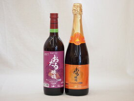 北海道おたるスペシャルワイン2本セット(やや甘口赤 辛口赤)720ml×2本