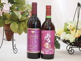日本産葡萄100%使用2本セット おたる醸造(北海道) メルロ(長野県)720ml×2