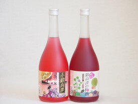【最大2000円オフクーポン29日1:59迄】鍛高譚お楽しみ2本セット 北海道白糠町特産しそ使用 しそリキュール 赤鍛高譚20度 梅酒12度 720ml×2