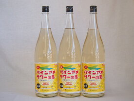 パインアメサワーの素 甘酸っぱくジューシーパイナップル果汁 25度 中野BC(和歌山県)1800ml×4