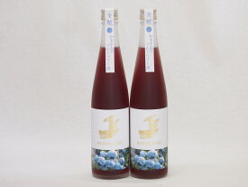 2本セット(金鯱焼酎ブレンド 知多半島のブルーベリー酒(愛知県)) 500ml×2本