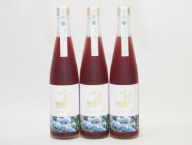 3本セット(金鯱焼酎ブレンド 知多半島のブルーベリー酒(愛知県)) 500ml×3本