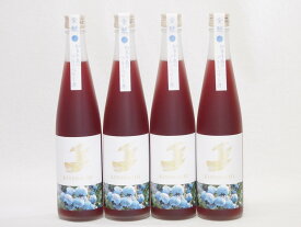 4本セット(金鯱焼酎ブレンド 知多半島のブルーベリー酒(愛知県)) 500ml×4本