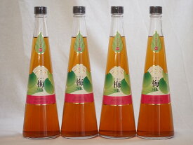【最大2000円オフクーポン11日1:59迄】国内産梅100% 手造り梅酒(宮崎県)720ml×4本
