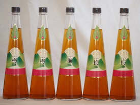 【最大2000円オフクーポン11日1:59迄】国内産梅100% 手造り梅酒(宮崎県)720ml×5本