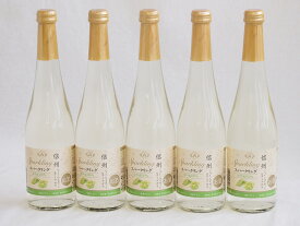 信州特産ぶどう100％5本セット(シャインマスカット＆ナイアガラスパークリングワイン(長野県)) 500ml×5本