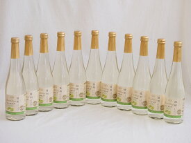 信州特産ぶどう100％11本セット(シャインマスカット＆ナイアガラスパークリングワイン(長野県)) 500ml×11本