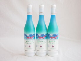 3本セット(夏のワイン マスカット＆ライチ(山梨県)) 500ml×3本