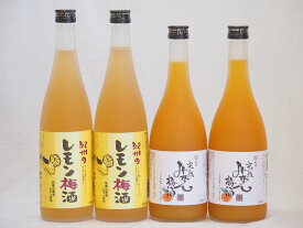 果物梅酒セット レモン梅酒×完熟みかん梅酒 中野BC(和歌山県)720ml×4本