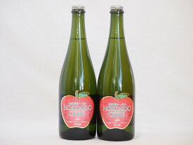 2本セット(北海道余市産りんご100%シードル スパークリングワイン alc.5.5% やや甘口) 750ml×2本