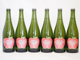6本セット(北海道余市産りんご100%シードル スパークリングワイン alc.5.5% やや甘口) 750ml×6本