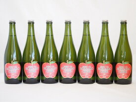 7本セット(北海道余市産りんご100%シードル スパークリングワイン alc.5.5% やや甘口) 750ml×7本