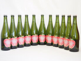 11本セット(北海道余市産りんご100%シードル スパークリングワイン alc.5.5% やや甘口) 750ml×11本