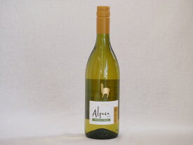 チリ白ワイン アルパカシャルドネ・セミヨン(チリ) 750ml×1本