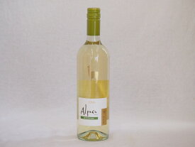 チリ白ワイン アルパカソーヴィニヨン・ブラン(チリ) 750ml×1本