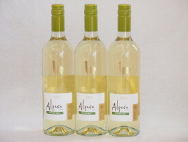 3本セット(チリ白ワイン アルパカソーヴィニヨン・ブラン(チリ)) 750ml×3本