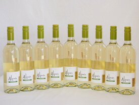 9本セット(チリ白ワイン アルパカソーヴィニヨン・ブラン(チリ)) 750ml×9本