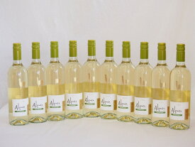 10本セット(チリ白ワイン アルパカソーヴィニヨン・ブラン(チリ)) 750ml×10本