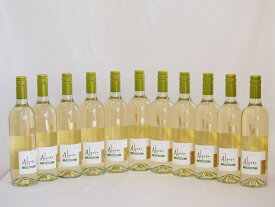 11本セット(チリ白ワイン アルパカソーヴィニヨン・ブラン(チリ)) 750ml×11本