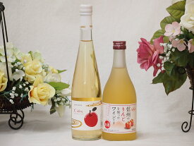 日本のシードルセット Cidre 青森弘前産りんご使用(京都府) 信州りんごフルーツワイン(長野県)500ml×2