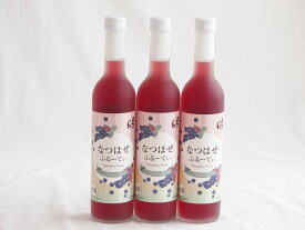 3本セット(奥の松リキュール なつはぜふるーてぃ (福島県)) 500ml×3本