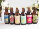 セレクション地ビール6本セット 地域限定クラフトビール（東海地方） 飲み比べ6本セット 330ml×6本